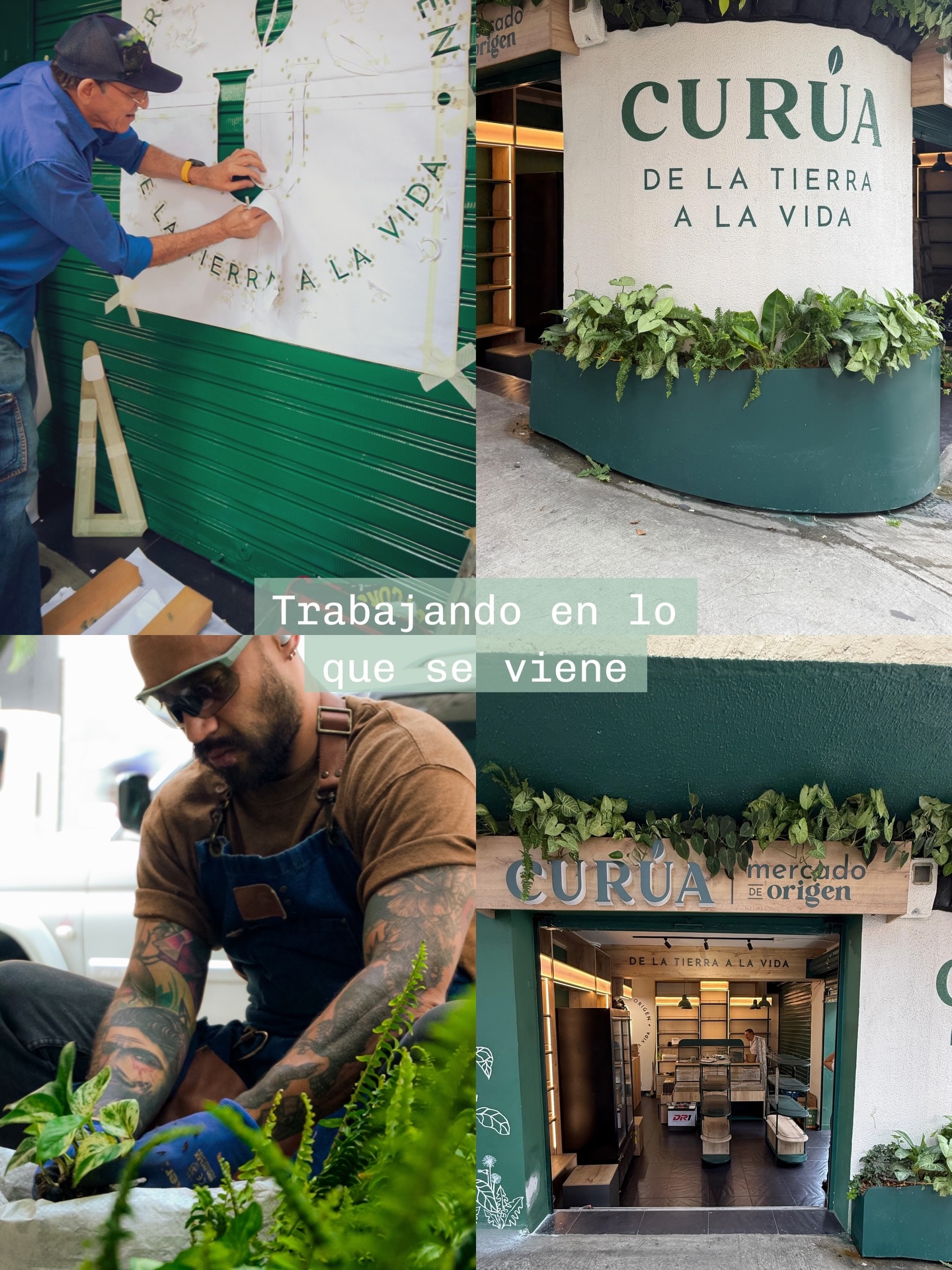 Estamos cada vez más cerca.

Cada detalle, cada decisión y cada paso tiene una intención: crear un espacio donde el bienestar se viva de forma real, simple y consciente 

 Muy pronto, Curúa.

#mercadosaludable #alimentossaludables #alimentosorgánicos #nuevomercado #medellín